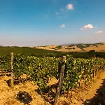 Fattoria Di Statiano 팜스테이 *