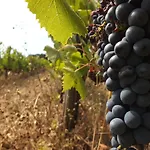 Fattoria Di Statiano * 포마란체