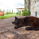 Fattoria Di Statiano