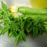 Fattoria Di Statiano 팜스테이
