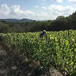 Fattoria Di Statiano 팜스테이 포마란체