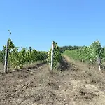 Fattoria Di Statiano *