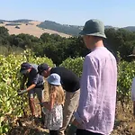 Fattoria Di Statiano * 포마란체