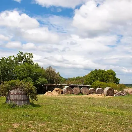 Fattoria Di Statiano * Pomarance
