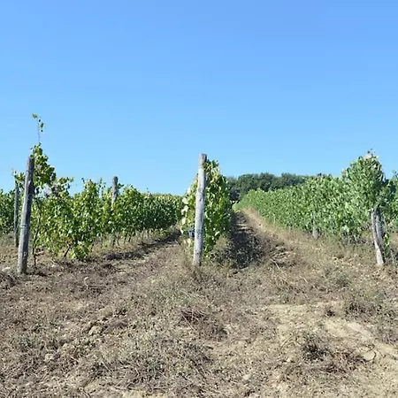 Fattoria Di Statiano *